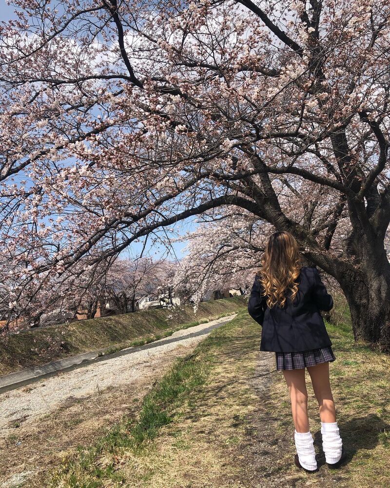 画像1546