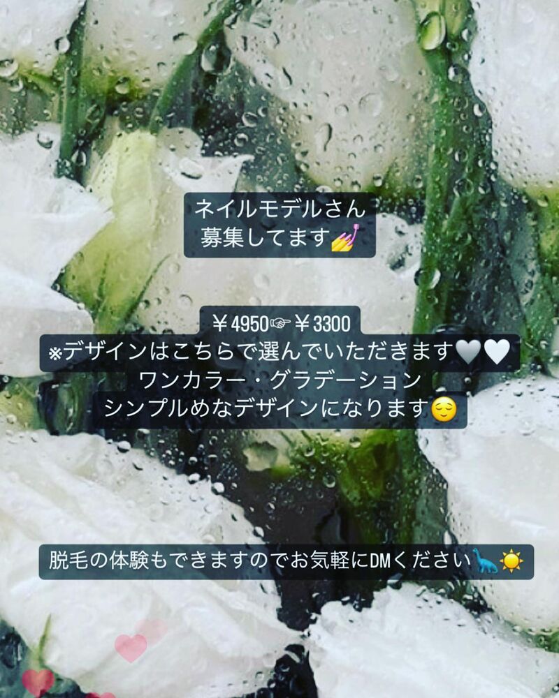 画像1607