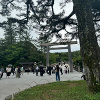 画像1727