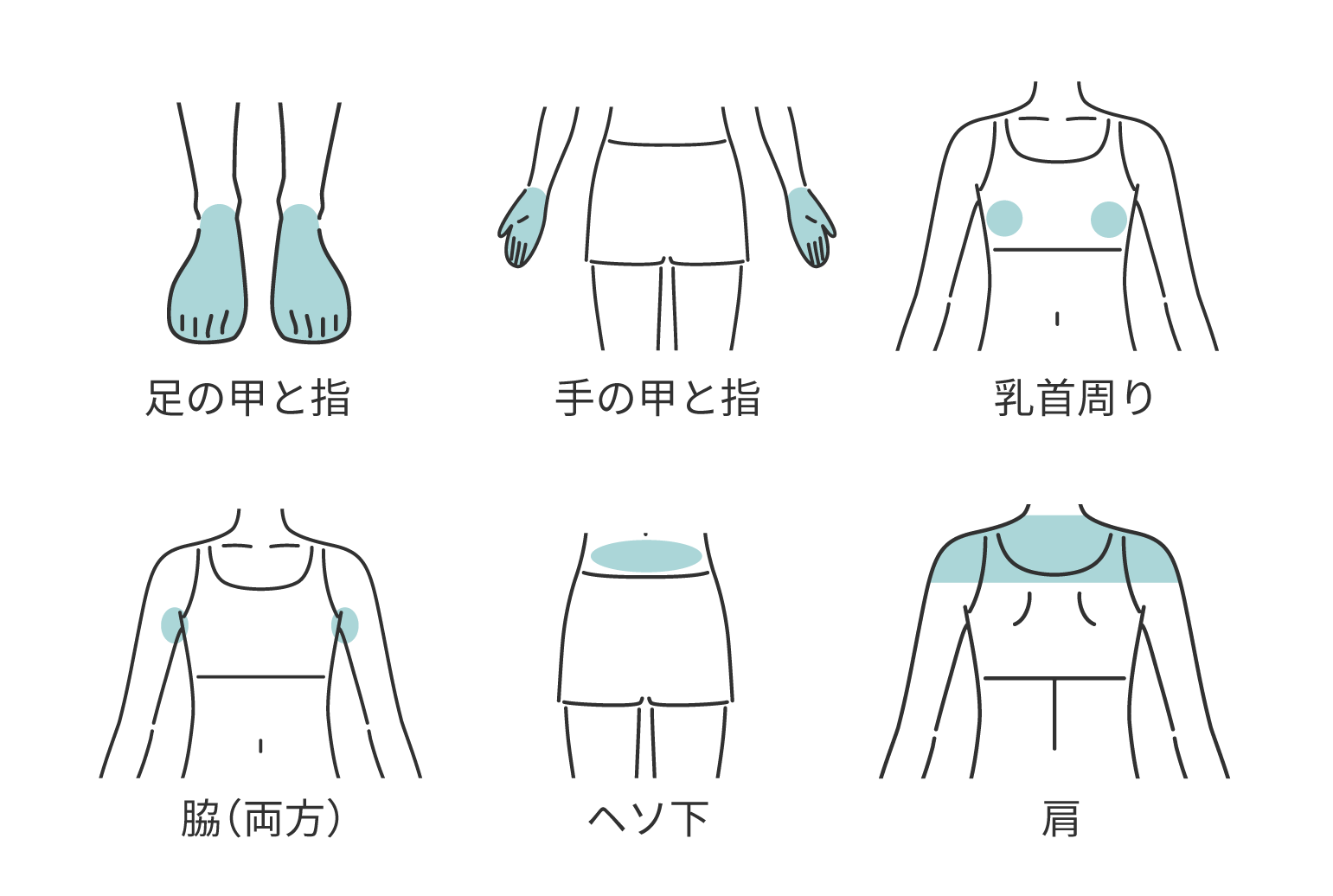 レディースBODYカテゴリー