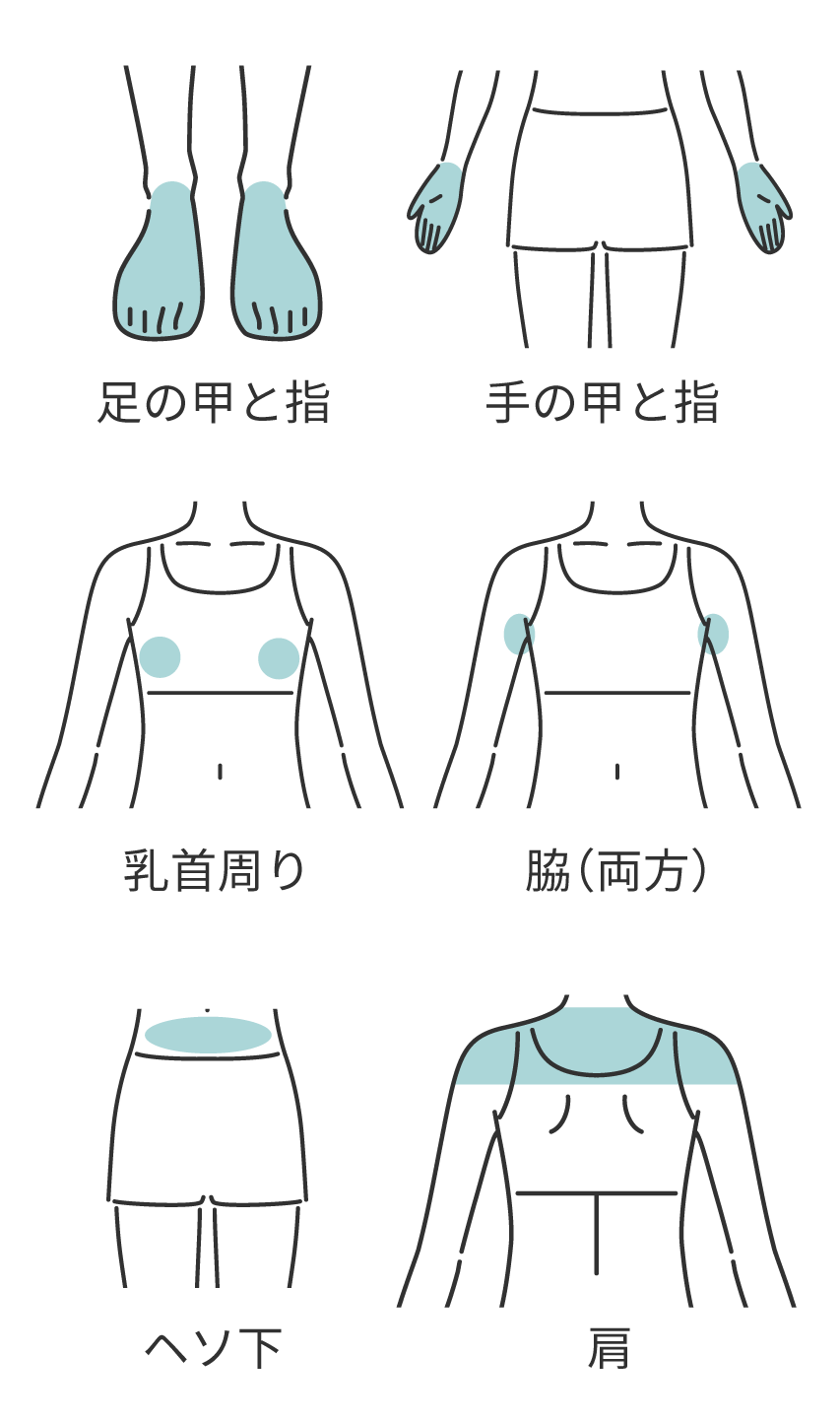 レディースBODYカテゴリー