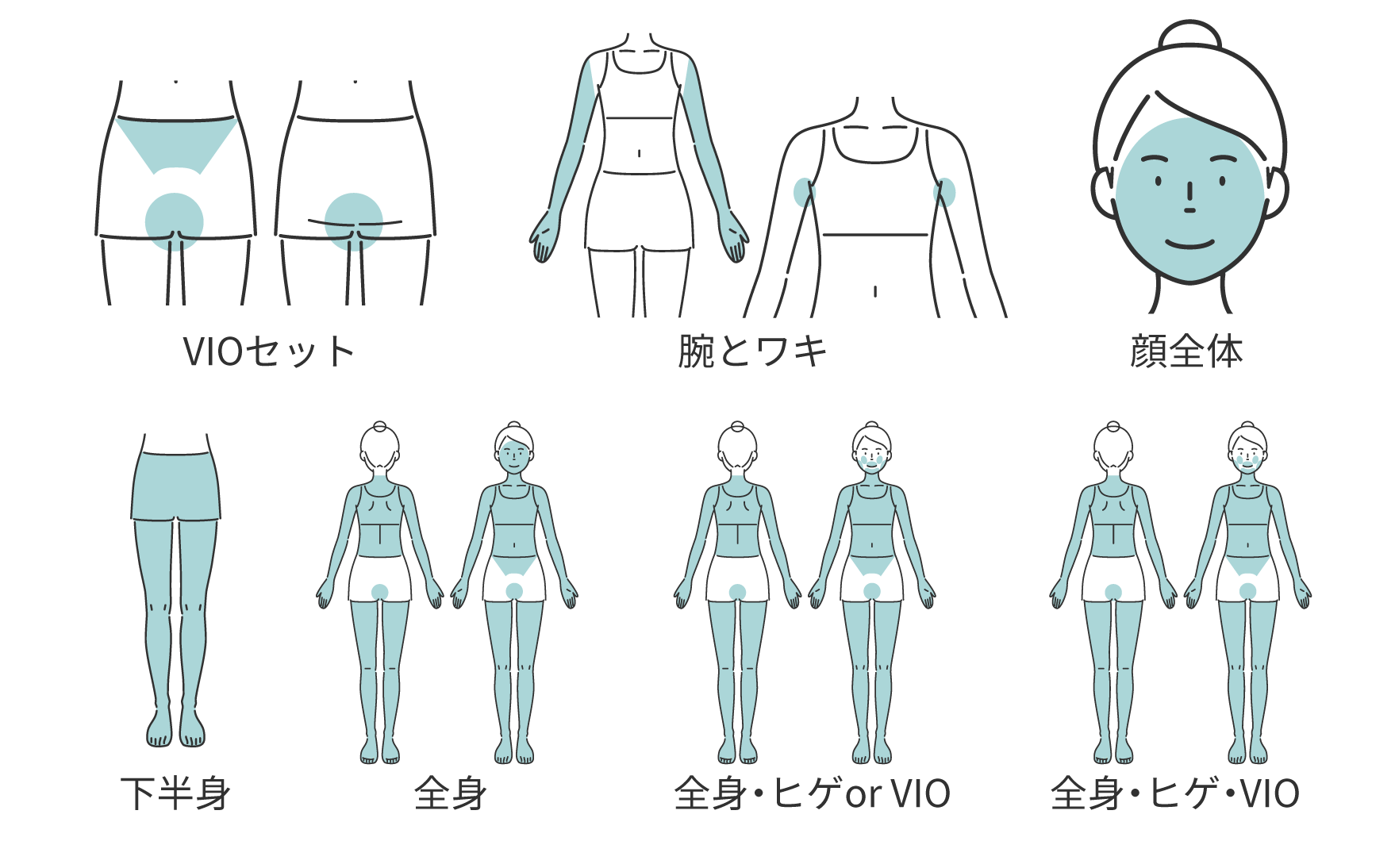 レディースSETカテゴリー