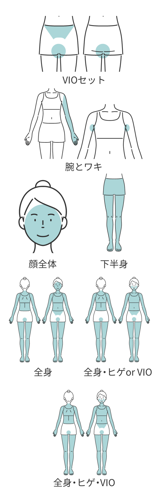 レディースSETカテゴリー